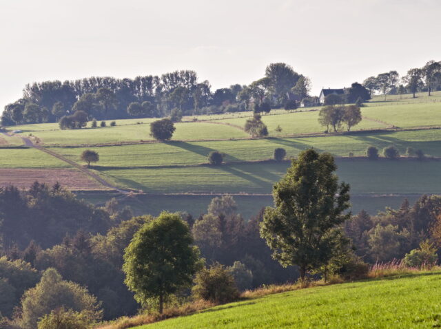 Rhön, Rhön Mountains, Hessen, Hesse, Germany, Fulda, Gersfeld, Wasserkuppe, Milsburg