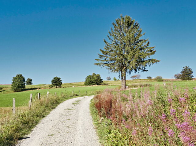 Rhön, Rhön Mountains, Hessen, Hesse, Germany, Fulda, Gersfeld, Wasserkuppe, Milsburg