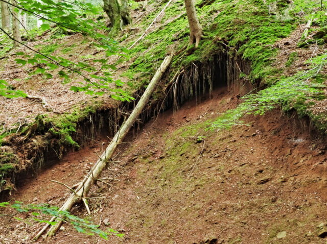 Rhön, Rhön Mountains, Hessen, Hesse, Germany, Fulda, Gersfeld, Wasserkuppe, Milsburg