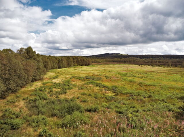 Rhön, Rhön Mountains, Hessen, Hesse, Germany, Fulda, Gersfeld, Wasserkuppe, Milsburg