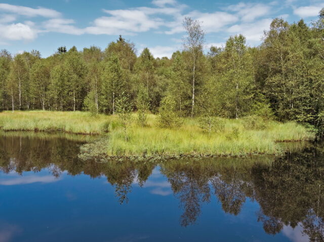 Rhön, Rhön Mountains, Hessen, Hesse, Germany, Fulda, Gersfeld, Wasserkuppe, Milsburg