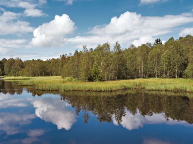 Rhön, Rhön Mountains, Hessen, Hesse, Germany, Fulda, Gersfeld, Wasserkuppe, Milsburg