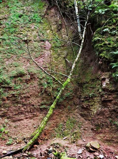 Rhön, Rhön Mountains, Hessen, Hesse, Germany, Fulda, Gersfeld, Wasserkuppe, Milsburg