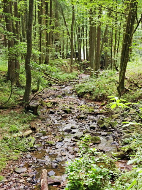 Rhön, Rhön Mountains, Hessen, Hesse, Germany, Fulda, Gersfeld, Wasserkuppe, Milsburg