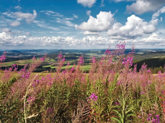 Rhön, Rhön Mountains, Hessen, Hesse, Germany, Fulda, Gersfeld, Wasserkuppe, Milsburg