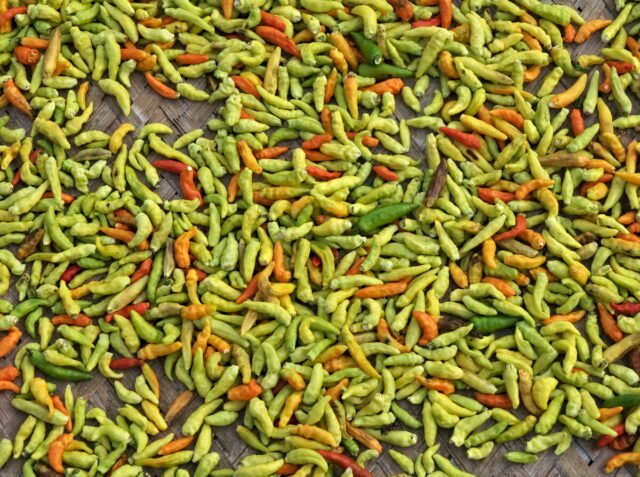 China,Anhui,Yi Counti, Xidi Village, 西递