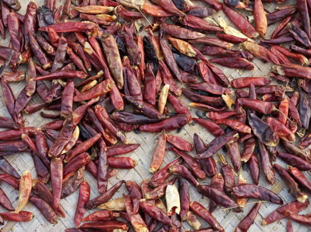 China,Anhui,Yi Counti, Xidi Village, 西递