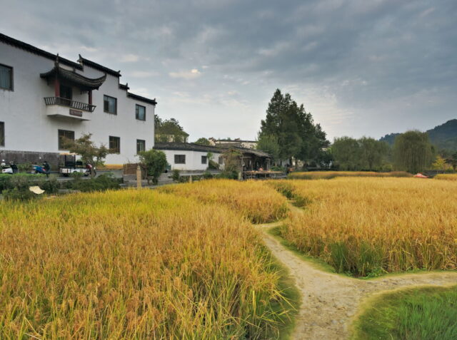 China,Anhui,Yi Counti, Xidi Village, 西递