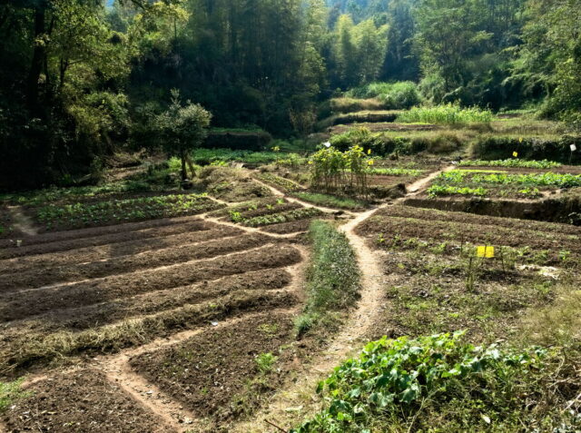 China, Anhui, Qiyunshan, mountains, old villages
