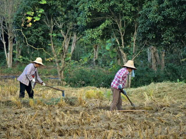 China, Anhui, Qiyunshan, mountains, old villages