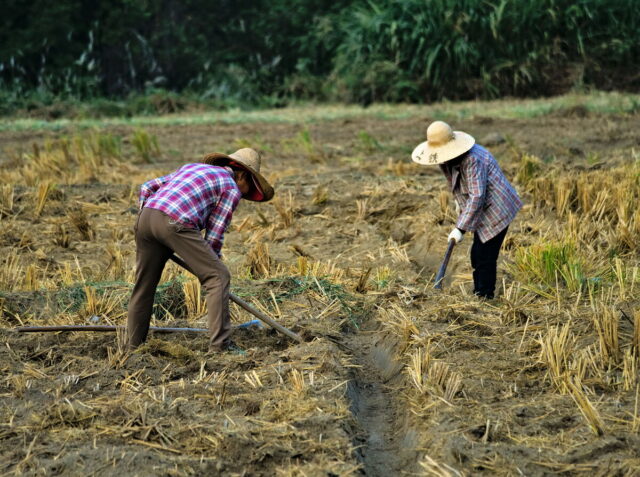 China, Anhui, Qiyunshan, mountains, old villages