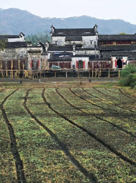 China,Anhui,Yi County, Xidi Village, 西递