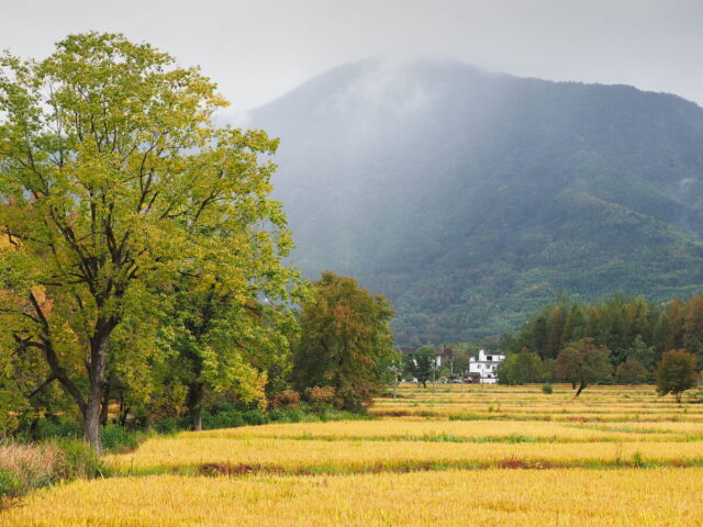 Anhui,China,Hongcun Village, Tachuan Village, 宏村,塔川