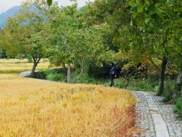 Anhui,China,Hongcun Village, Tachuan Village, 宏村,塔川