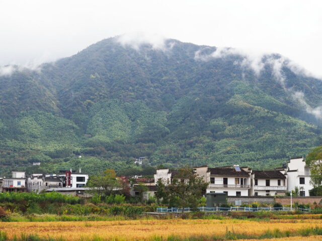 Anhui,China,Hongcun Village, Tachuan Village, 宏村,塔川