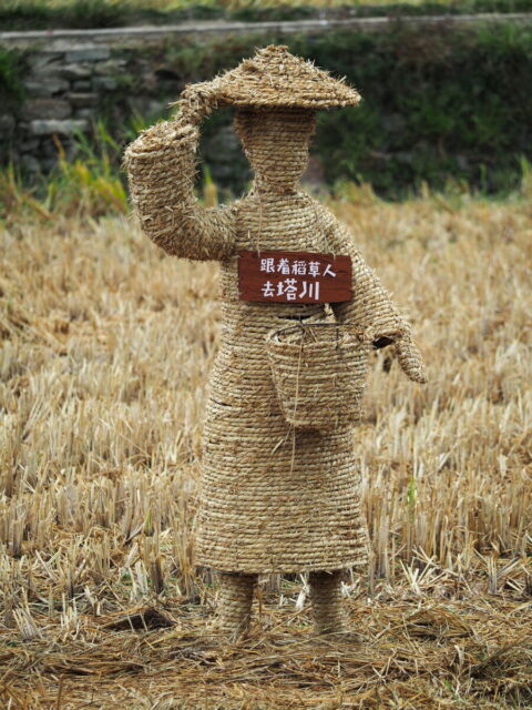 Anhui,China,Hongcun Village, Tachuan Village, 宏村,塔川