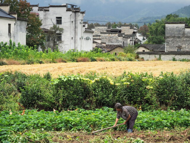 Anhui,China,Hongcun Village, Tachuan Village, 宏村,塔川