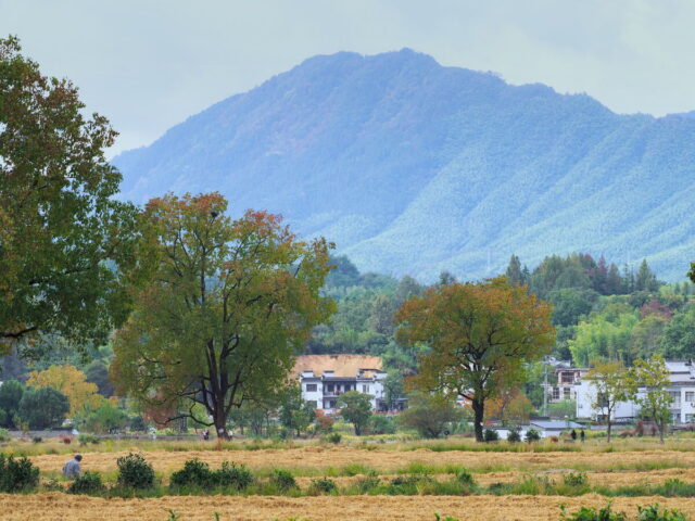 Anhui,China,Hongcun Village, Tachuan Village, 宏村,塔川