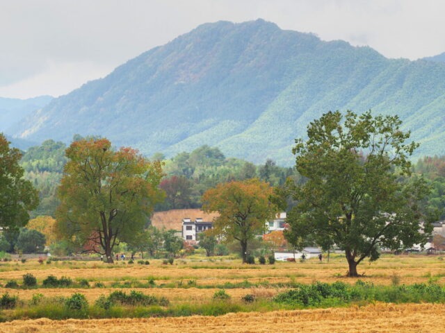 Anhui,China,Hongcun Village, Tachuan Village, 宏村,塔川