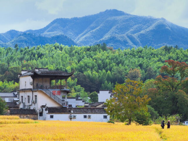 Anhui,China,Hongcun Village, Tachuan Village, 宏村,塔川
