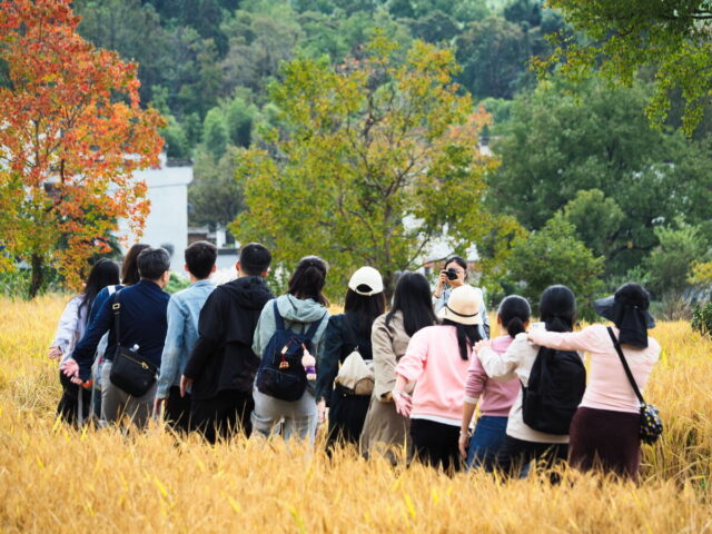 Anhui,China,Hongcun Village, Tachuan Village, 宏村,塔川