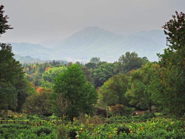 Anhui,China,Hongcun Village, Tachuan Village, 宏村,塔川