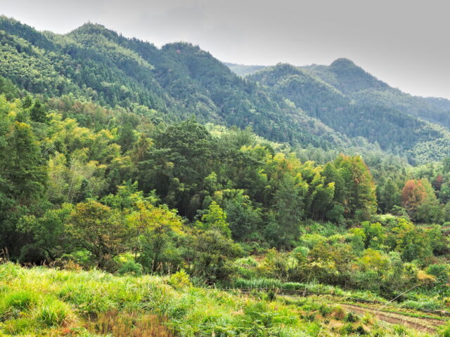 Anhui,China,Hongcun Village, Tachuan Village, 宏村,塔川