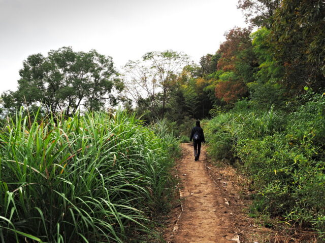 Anhui,China,Hongcun Village, Tachuan Village, 宏村,塔川