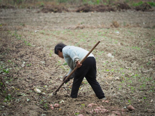 Anhui,China,Hongcun Village, Tachuan Village, 宏村,塔川