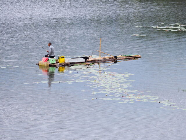Anhui,China,Hongcun Village, Tachuan Village, 宏村,塔川