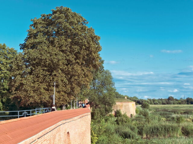 Oder, Neiße, Spree, bike tour, impressions, Küstrin, Kostrzyn nad Odrą 