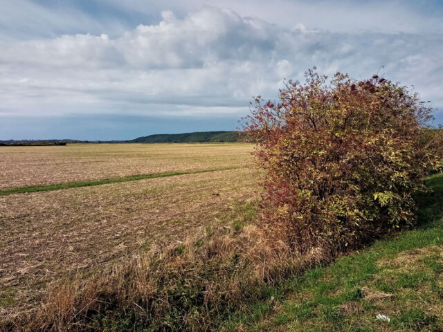 Barnim, Uckermark, Oder, Oderbruch, Nationalpark Unteres Odertal, Polen, Grenze,  Bikepacking