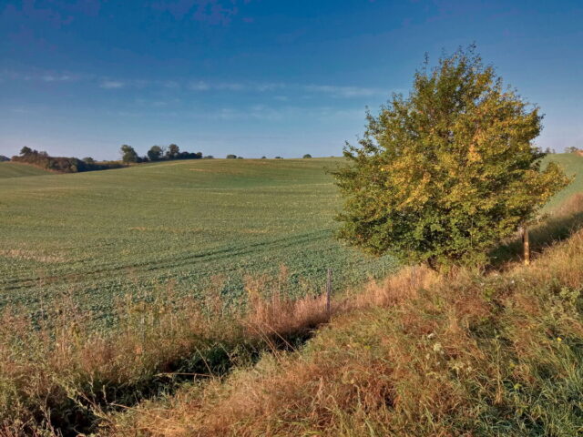 Barnim, Uckermark, Oder, Oderbruch, Nationalpark Unteres Odertal, Polen, Grenze,  Bikepacking