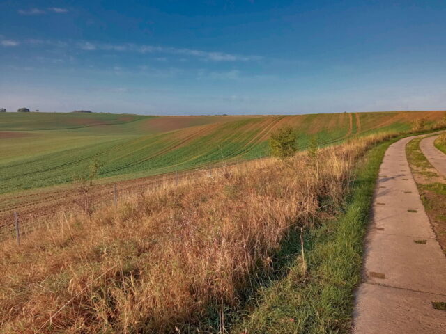 Barnim, Uckermark, Oder, Oderbruch, Nationalpark Unteres Odertal, Polen, Grenze,  Bikepacking