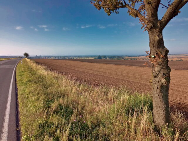 Barnim, Uckermark, Oder, Oderbruch, Nationalpark Unteres Odertal, Polen, Grenze,  Bikepacking