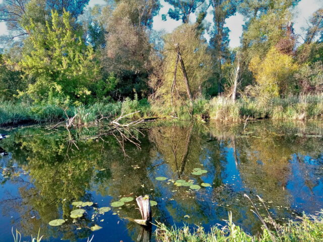 Barnim, Uckermark, Oder, Oderbruch, Nationalpark Unteres Odertal, Polen, Grenze,  Bikepacking