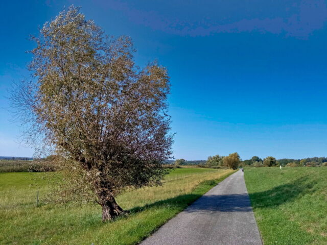 Barnim, Uckermark, Oder, Oderbruch, Nationalpark Unteres Odertal, Polen, Grenze,  Bikepacking