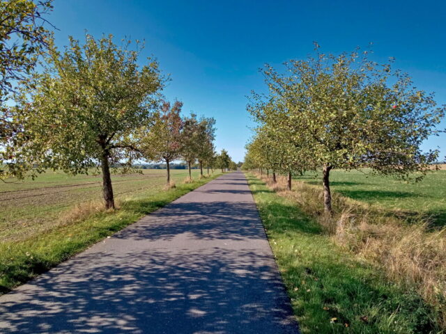 Barnim, Uckermark, Oder, Oderbruch, Nationalpark Unteres Odertal, Polen, Grenze,  Bikepacking
