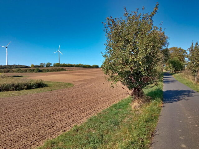 Barnim, Uckermark, Oder, Oderbruch, Nationalpark Unteres Odertal, Polen, Grenze,  Bikepacking