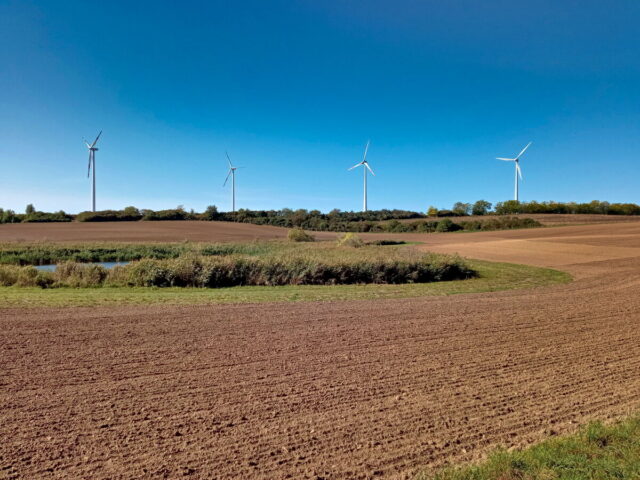 Barnim, Uckermark, Oder, Oderbruch, Nationalpark Unteres Odertal, Polen, Grenze,  Bikepacking