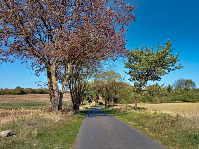 Barnim, Uckermark, Oder, Oderbruch, Nationalpark Unteres Odertal, Polen, Grenze,  Bikepacking