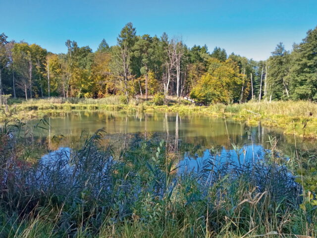 Barnim, Uckermark, Oder, Oderbruch, Nationalpark Unteres Odertal, Polen, Grenze,  Bikepacking