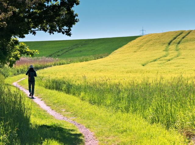 Seefeld, Haussee, Barnim, Brandenburg, lake, fields, countryside, Germany, 2026, summer