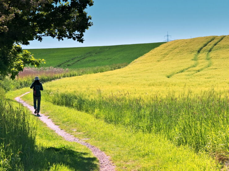 Seefeld, Haussee, Barnim, Brandenburg, lake, fields, countryside, Germany, 2026, summer