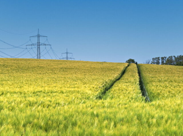 Seefeld, Haussee, Barnim, Brandenburg, lake, fields, countryside, Germany, 2026, summer