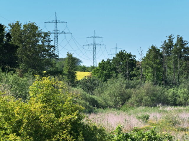 Seefeld, Haussee, Barnim, Brandenburg, lake, fields, countryside, Germany, 2026, summer