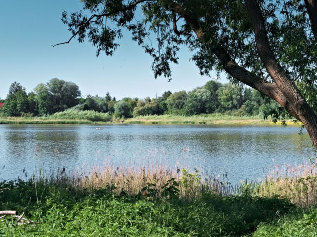 Seefeld, Haussee, Barnim, Brandenburg, lake, fields, countryside, Germany, 2026, summer