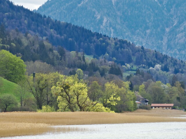 Tegernsee, Bavaria, Mountains, Meadows, Lake views