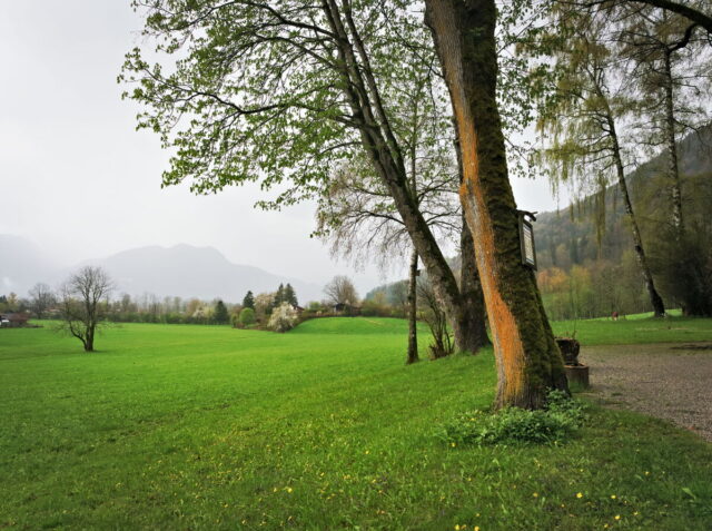 Tegernsee, Bavaria, Mountains, Meadows, Lake views