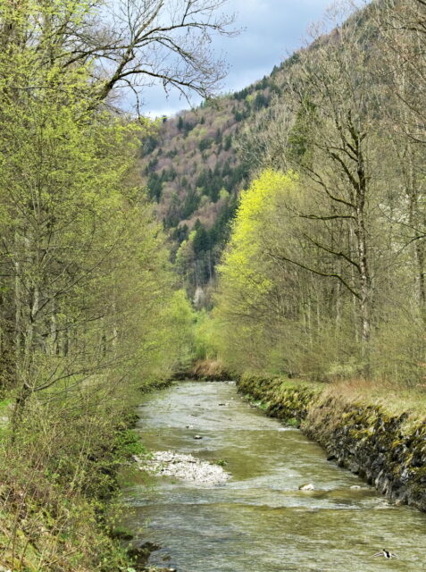 Tegernsee, Bavaria, Mountains, Meadows, Lake views